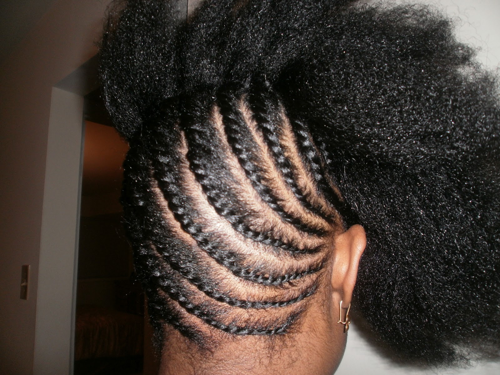 Life Of A Naturalista Hair Essentials Two Strand Braid Updo