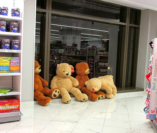 giant teddy bear walgreens