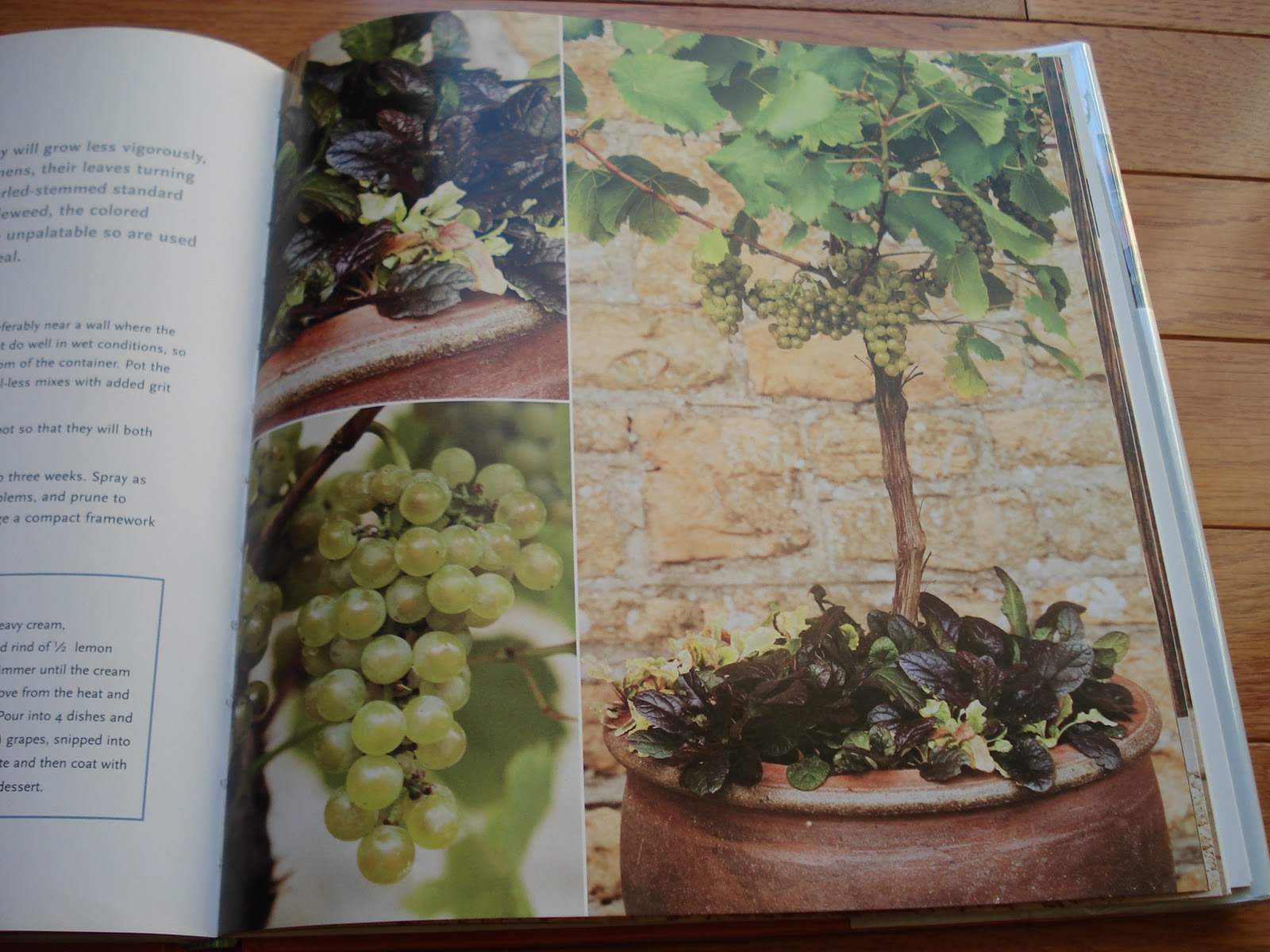 Bumble Lush Garden Garden Book Review Crops & Pots