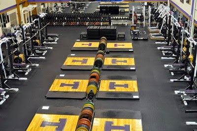 Kinesiology Sport Review Tarleton State University Athletic