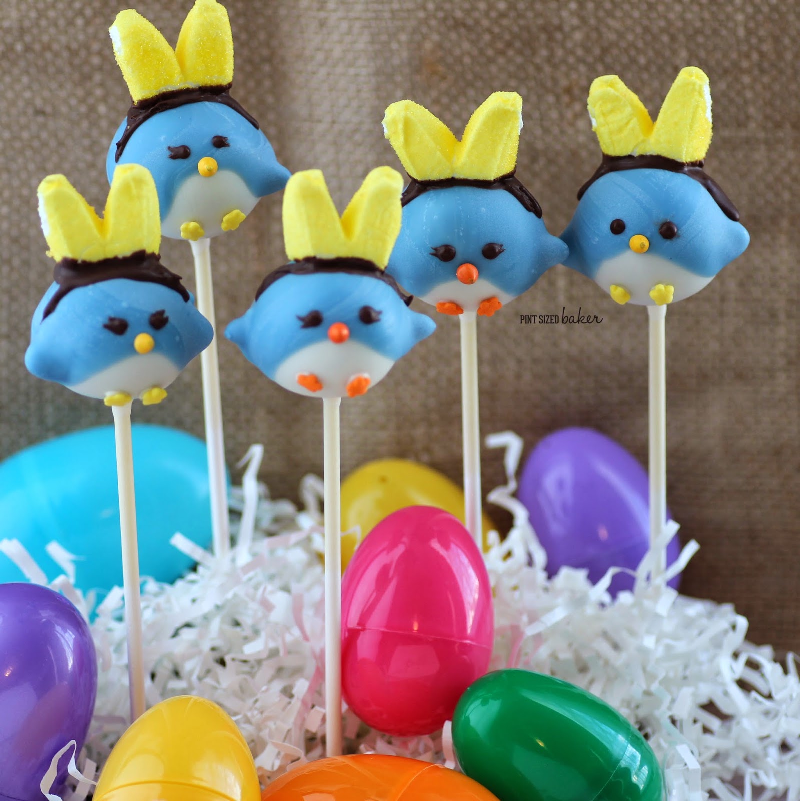 Spring Birdies Ready for Easter 5 1+ps+Spring+Birdy+Bunnies+(39)