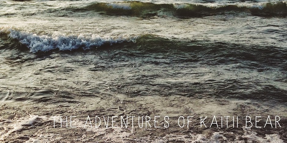 The Adventures of Kaitii Bear