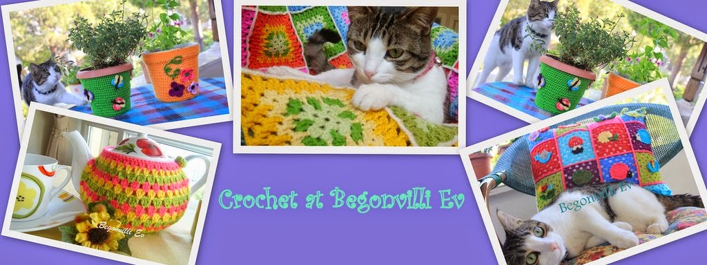 Crochet at Begonvilliev