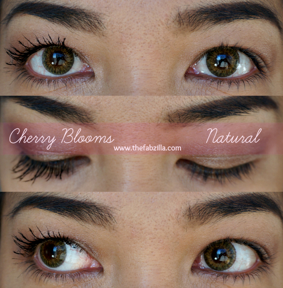 Cherry Blooms Australia Brush on Fibre Eyelash Extension, Review, Before/After Photos