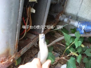 0060711-2.jpg