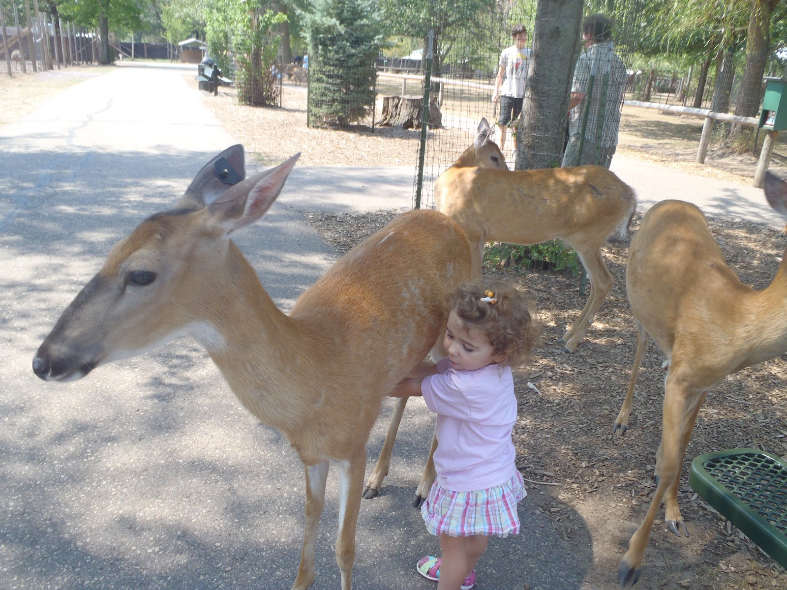 Jet Set Mom Wisconsin Dells Deer Park