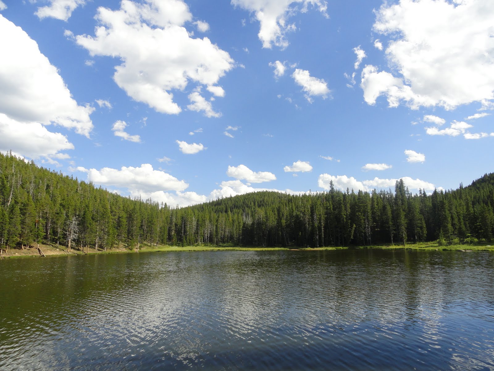 barbecue bluegrass & blacktop Sibley Lake