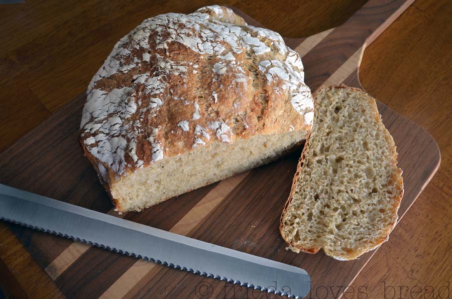 Frieda Loves Bread Easy No Knead Bread Multigrain Wheat