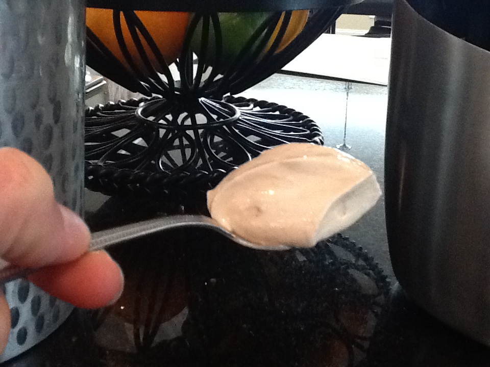 Skinni Cook Skinni Chocolate Peanut Butter (PB2) Yogurt Delight