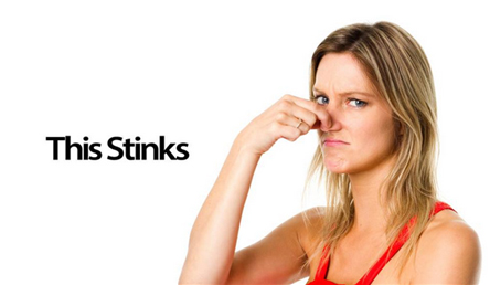 What To Do When Your Cat S Breath Stinks What To Do When Your Cat S Breath Stinks