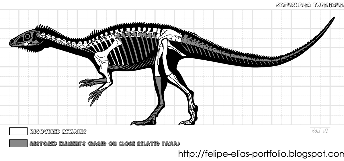 saturnalia dinosaur saturnalia dinosaur