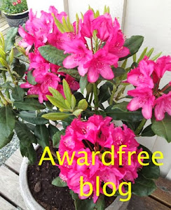 Awardfree blog