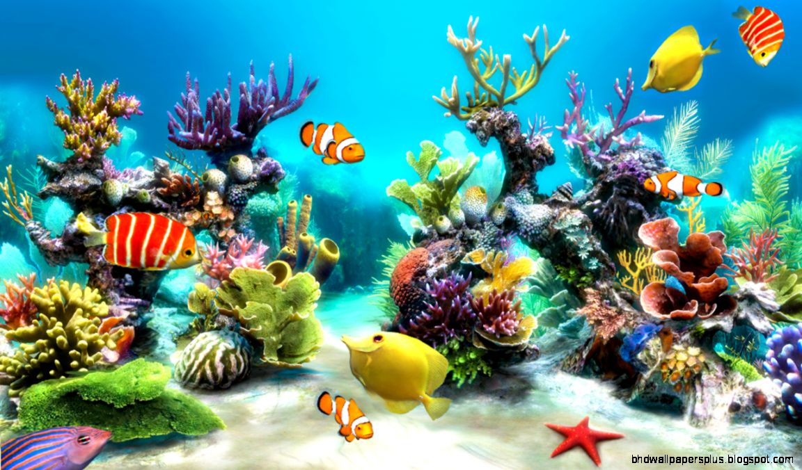Sim Aquarium Live Wallpaper Android Apps on Google Play Sim Aquarium Live Wallpaper Android Apps on Google Play