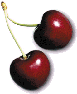 cherries-761750.gif