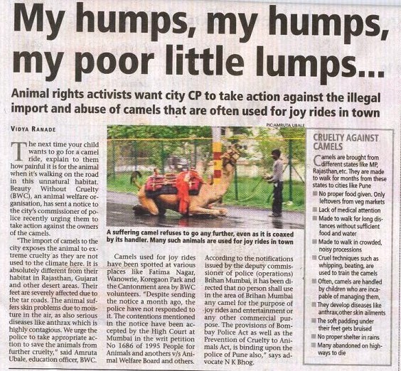Animal Rights India: About Me