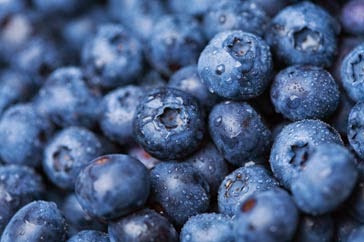 http://www.taste.com.au/how+to/articles/741/blueberries