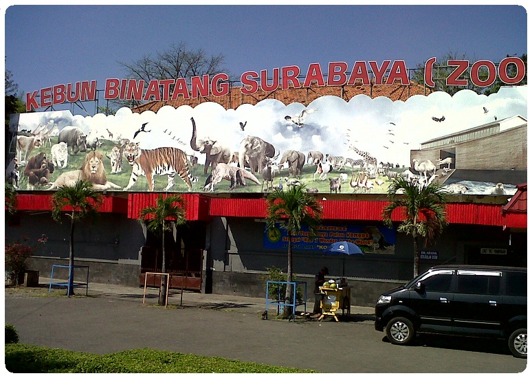 Tempat Wisata Kebun Binatang Surabaya