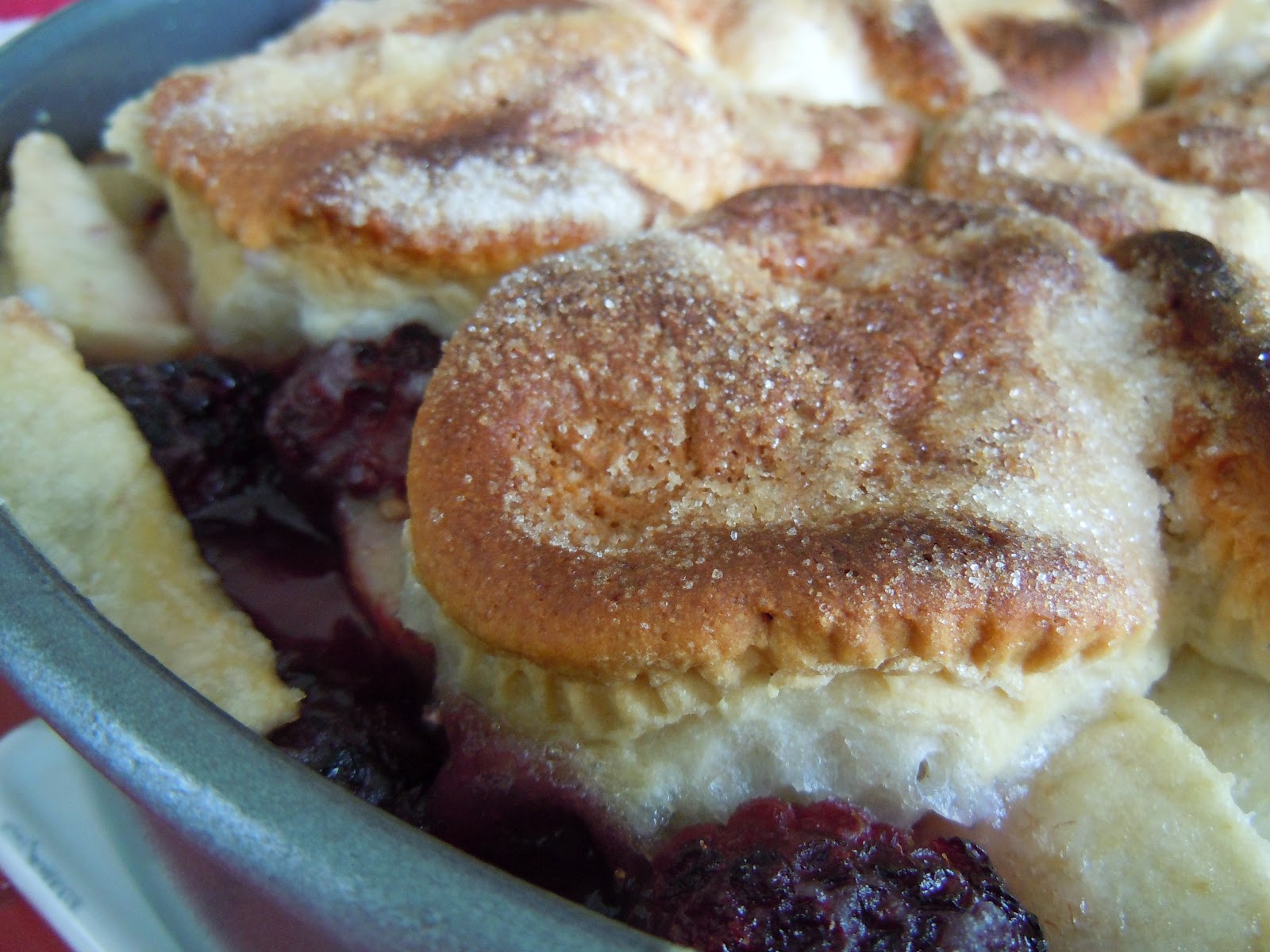 Aurora Blythe Blackberry Apple Cobbler