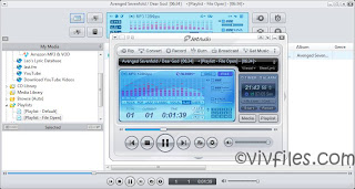 JetAudio.v8.0.17.2010 Plus VX
