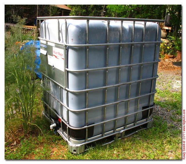 Randy & Meg's Garden Paradise 300 Gallon Rain Totes and Bees Orientation
