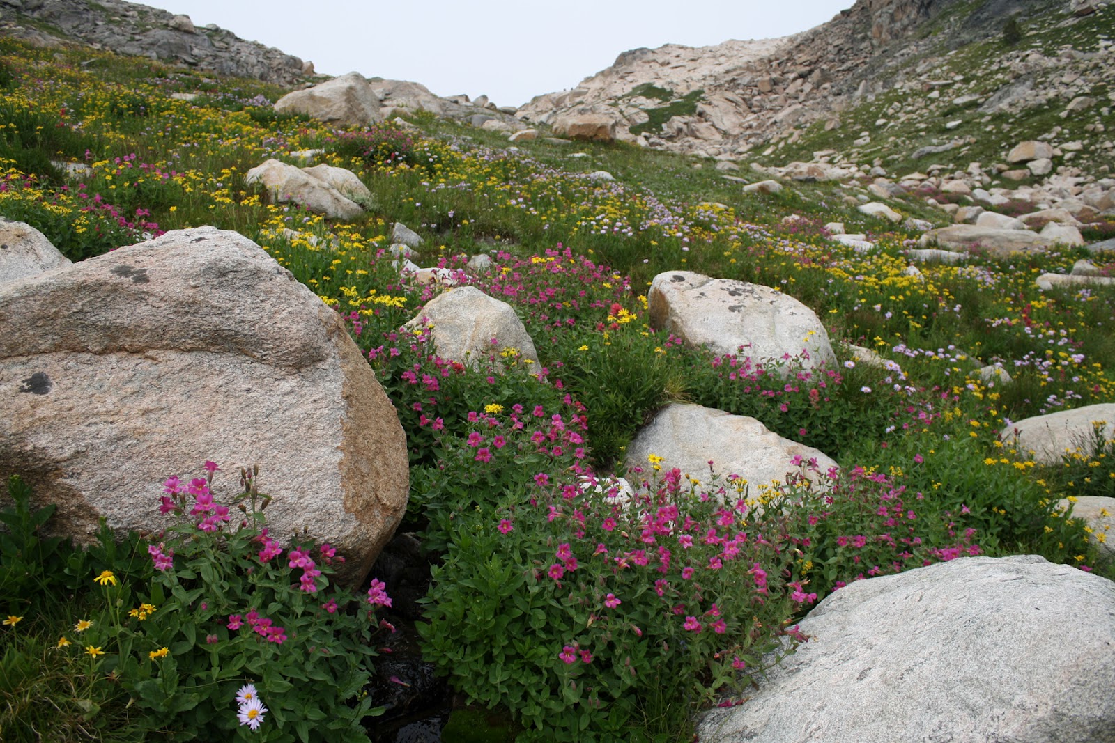 Living and Dyeing Under the Big Sky Fossil Lake Lunch Break