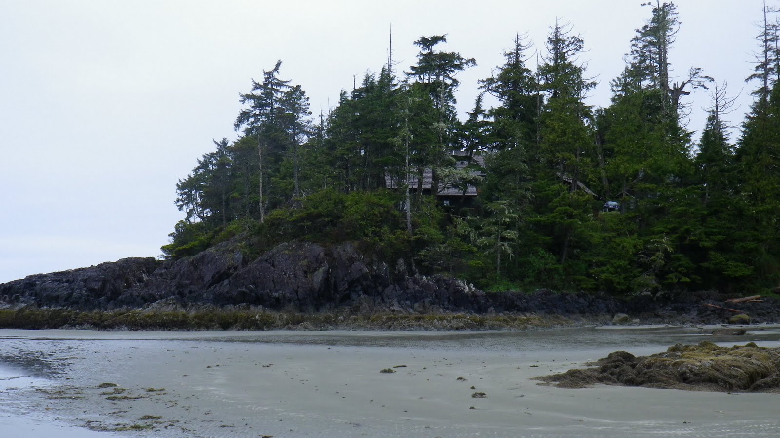 IMGP0284.JPG