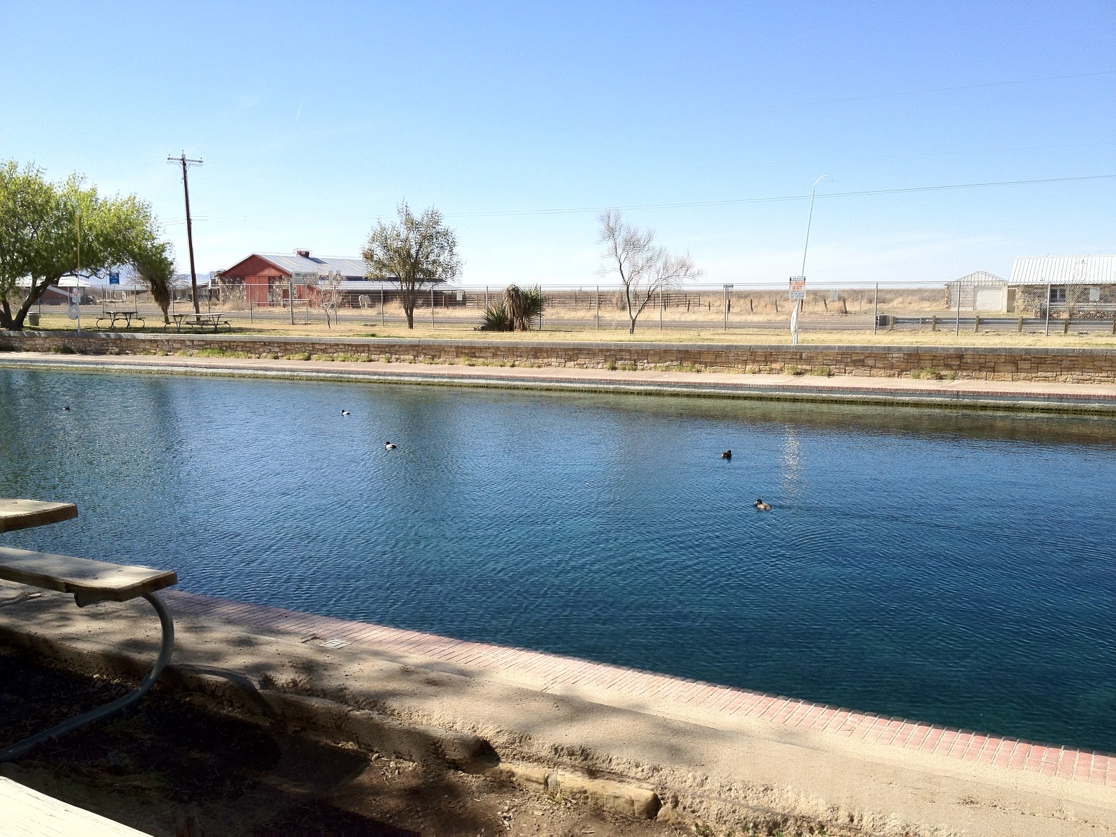 Teri's World Balmorhea State Park