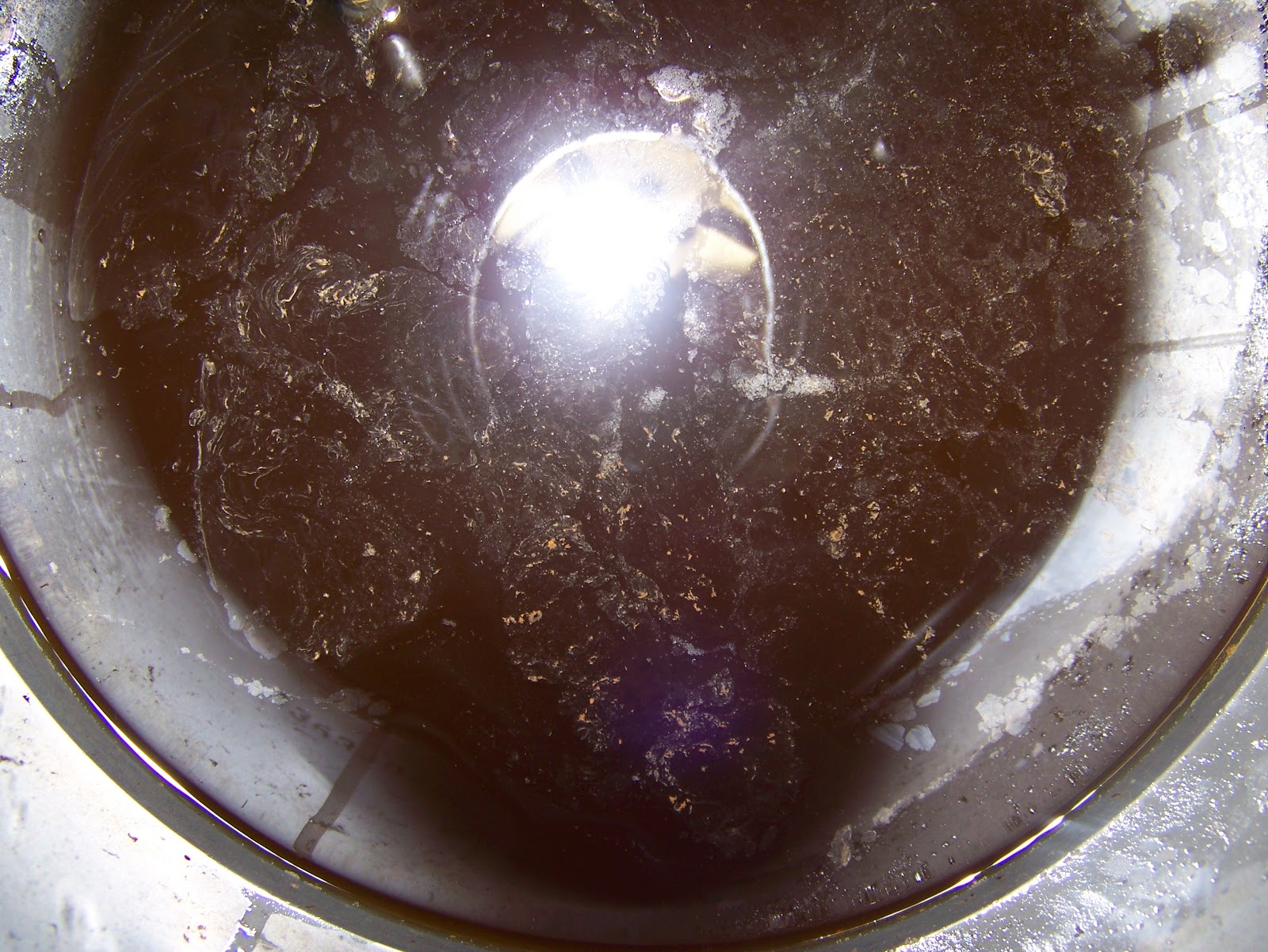 Homebrew Beer Yeast Infection Guide