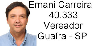 Ernani Carreira 40.333 PSB Guaíra SP 2016