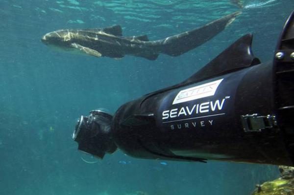Google Ocean Reveals Beauty of Great Barrier Reef Google Ocean Reveals Beauty of Great Barrier Reef