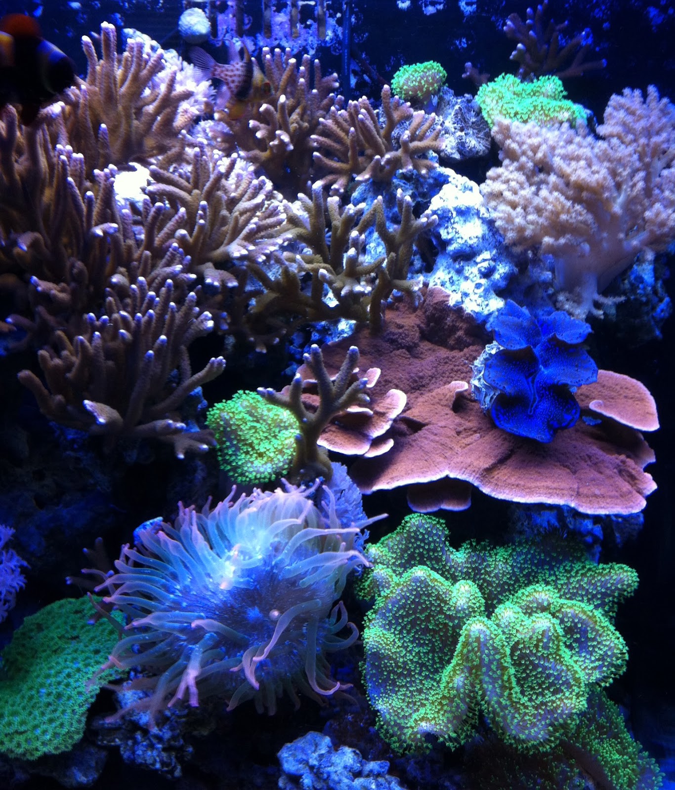 marine depot blog november
