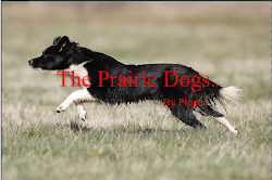 The Prairie Dogs