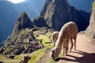 Peru-Machu Picchu-Family Vacation Tour