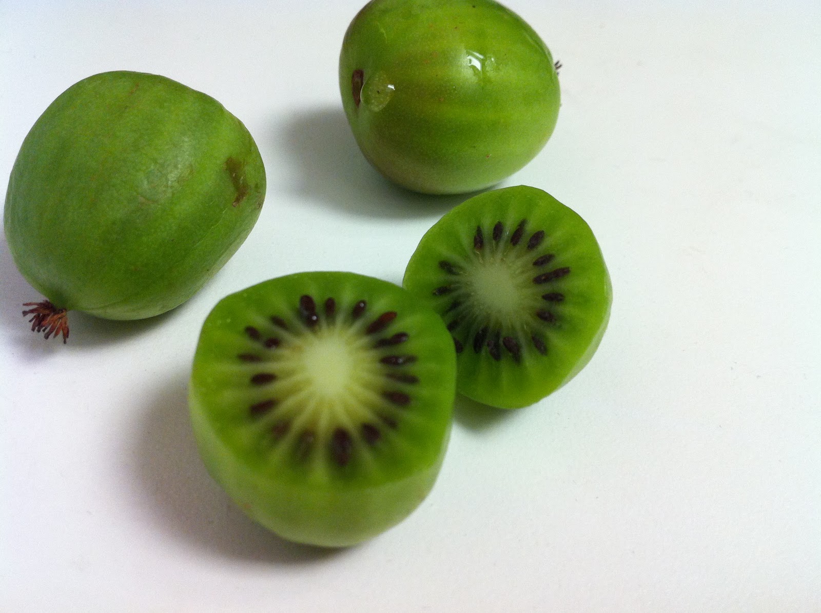 Newbie Foodies Introducing Kiwi Berries!