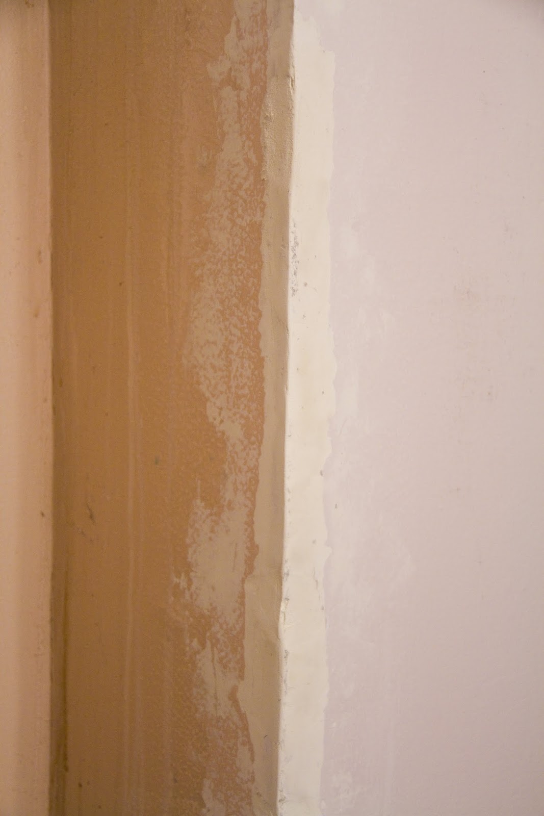 SwingNCocoa Pink Bathroom Chronicles Shelves