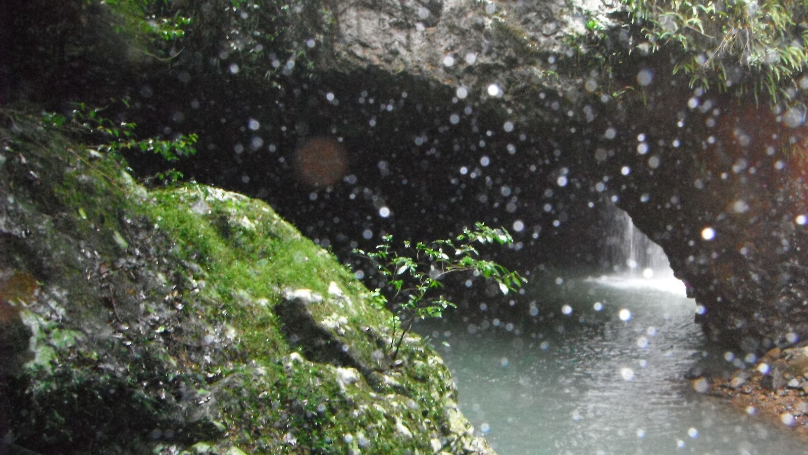 Natural+Bridge+005.JPG