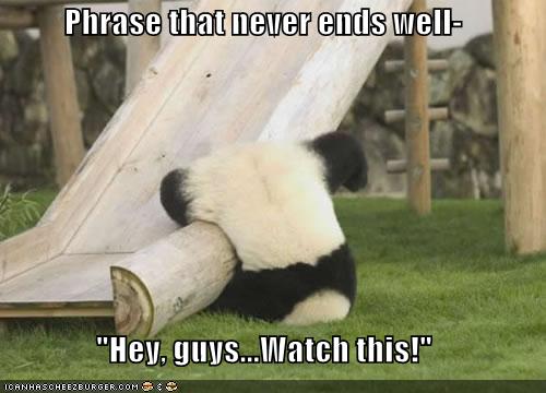 funny-pictures-panda-does-a-trick-and-fa