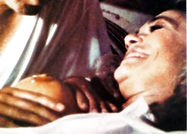 Babes Of "The Purple Panther" 236 Dyan+Cannon+(4)