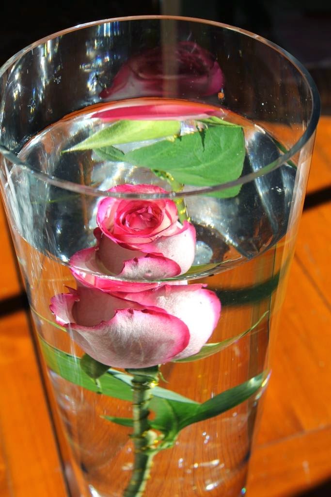 How To Submerge Flowers Miss Kopy Kat