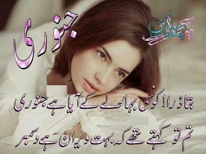 tum tou kehtey thay keh bahut veeran hai december - Sad Poetry