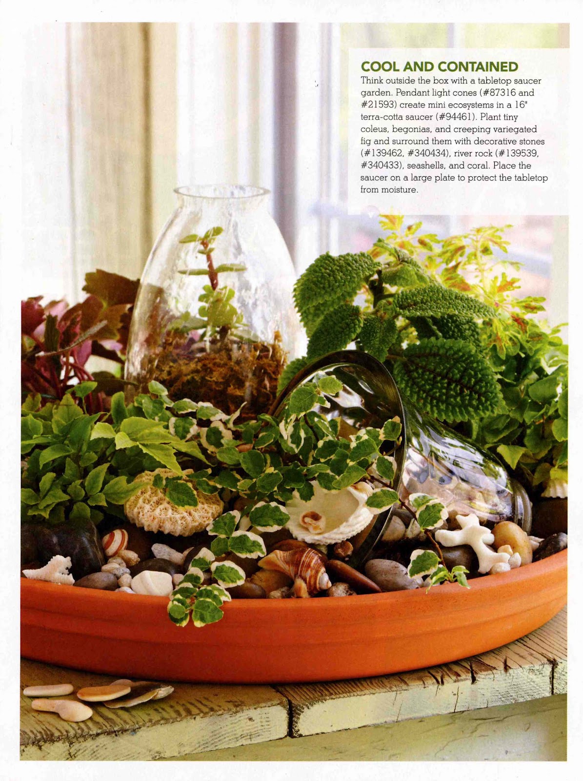 Donna's Art at Mourning Dove Cottage Tabletop Gardens