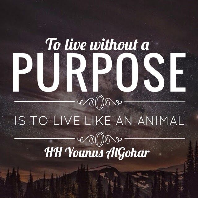 The Official MFI® Blog Quote of the Day To Live Without a Purpose...