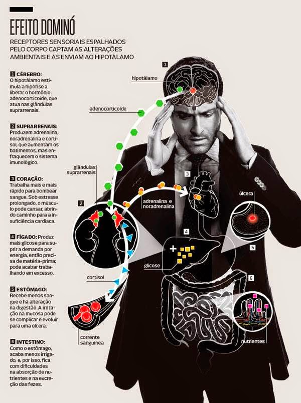 Sistema Emocional