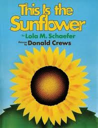 literature review on sunflower literature review on sunflower