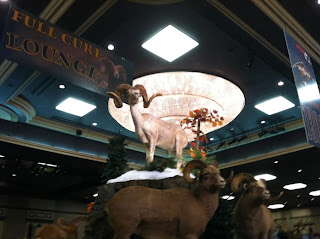 2013+Wild+Sheep+Foundation+Sheep+Show+and+Convention+Pics+and+updates+from+Reno,+NV+with+Colburn+and+Scott+Outfitters+3.JPG