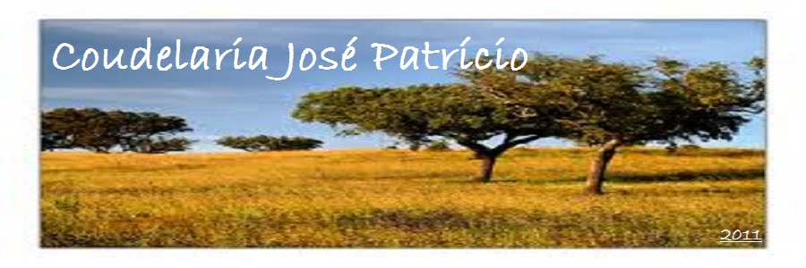 Coudelaria José Patrício
