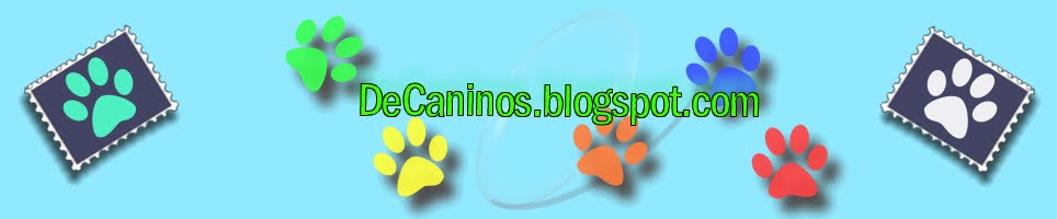 DeCaninos.blogspot.com