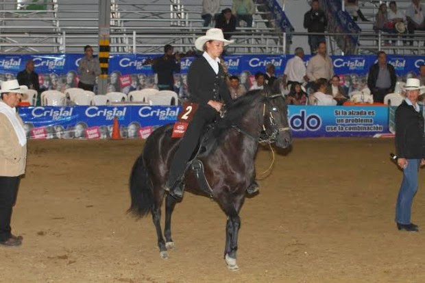 Más caballos, calidad y nuevas modalidades dejó Expoequina