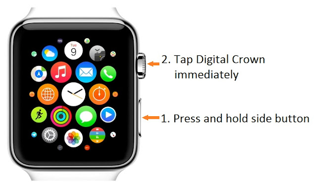 How to take screenshot in Apple Watch