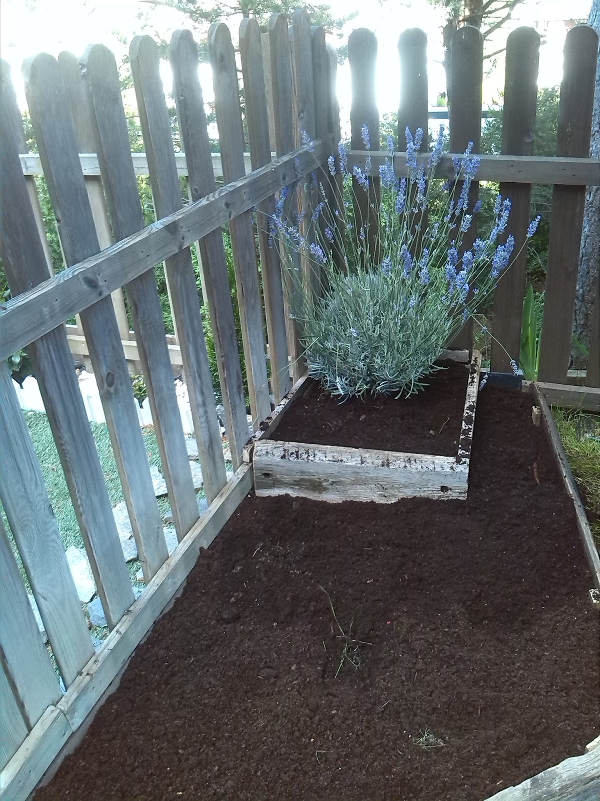 COSAS: UNA JARDINERA SOBRE SUELO
